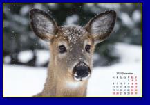 Háttérképek naptárral: 2023. december 1800×1200 px